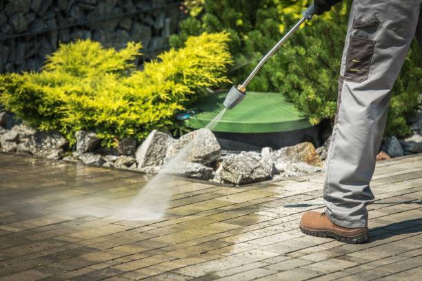 Best Boat and Dock Cleaning  in Orida Gulf Coast University, FL